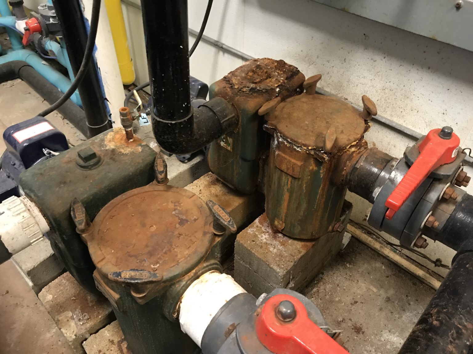 How to Manage Iron in Swimming Pools Natural Pool Products Blog